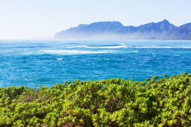 Hawaii, Oahu adasındaki güzel manzaralar.