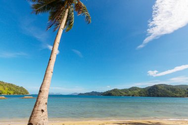 Şaşırtıcı doğal görünümü adaların deniz Körfezi ve dağ, Palawan, Filipinler