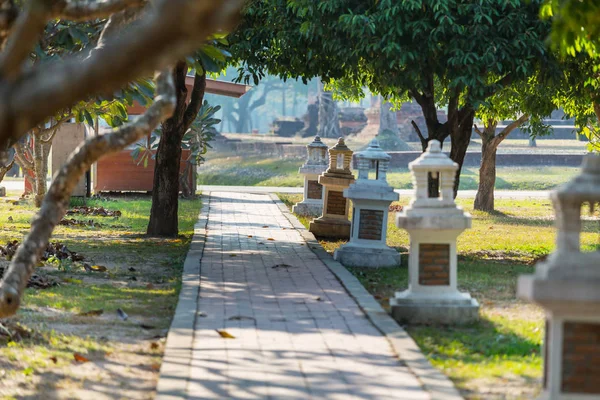 Camino Piedra Verde Parque Verano — Foto de Stock