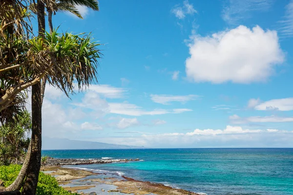 Fantástica Vista Panorâmica Praia Havaiana — Fotografia de Stock