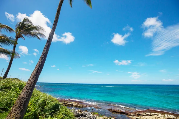 Amazing Hawaiian Beach Scenic View — Stock Photo, Image