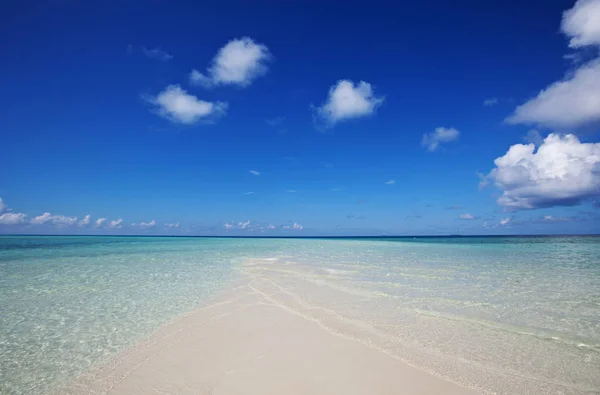 Maldiven Strand Natuur Schilderachtig Uitzicht — Stockfoto