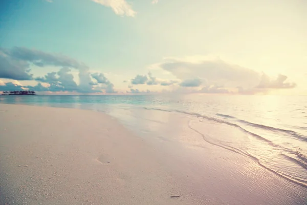 Maldives Beach Naturen Vacker Utsikt — Stockfoto