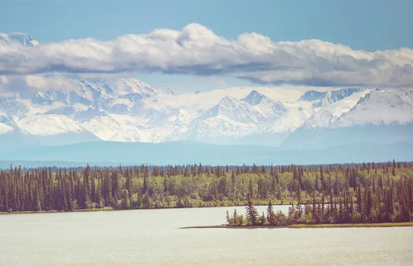 Montagne Pittoresche Dell Alaska Estate Massiccio Innevato Ghiacciai Cime Rocciose — Foto Stock