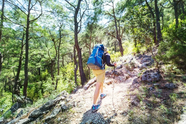 徒步旅行的人湾林中小径 — 图库照片