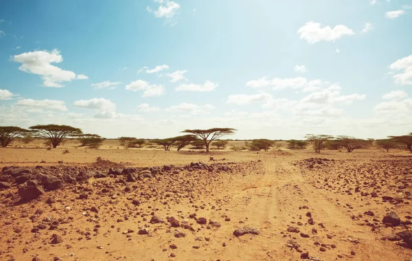 Safari Aşırı Seyahat Afrika Kuraklık Dağ Manzarası Ile Toz Offroad — Stok fotoğraf