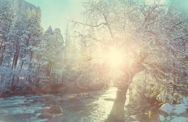 Beaux Paysages Début Printemps Dans Parc National Yosemite Yosemite États — Photo