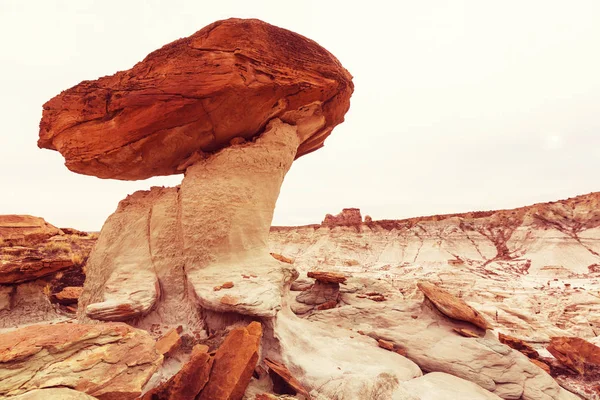 ユタ州 アメリカの砂岩層 — ストック写真