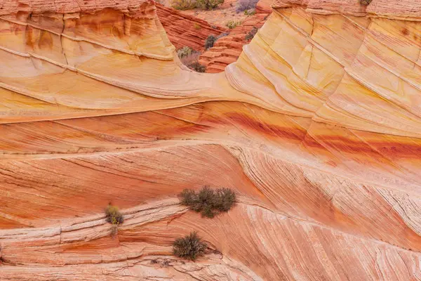 Sandstone Formations Utah Usa — Stock Photo, Image