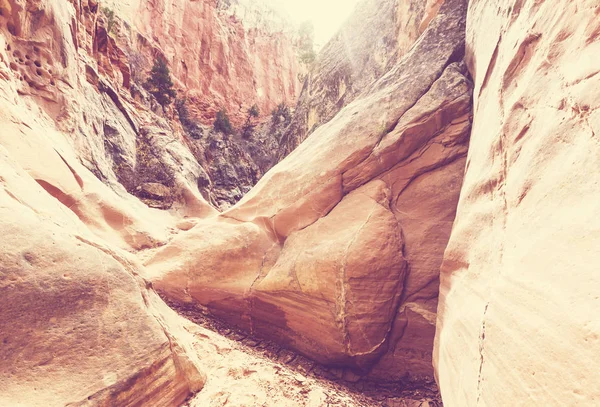 Slot Canyon Grand Staircase Escalante National Park Utah Usa Ovanliga — Stockfoto