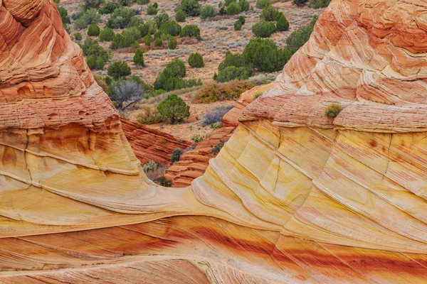 Formazioni Arenaria Nello Utah Usa Bellissimi Paesaggi Insoliti Tonificante Colore — Foto Stock