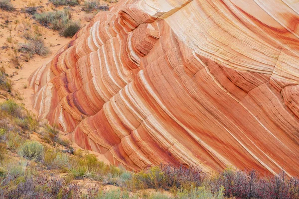 Formacje Piaskowca Utah Usa Piękne Krajobrazy Niezwykłe Życia Koral Kolor — Zdjęcie stockowe