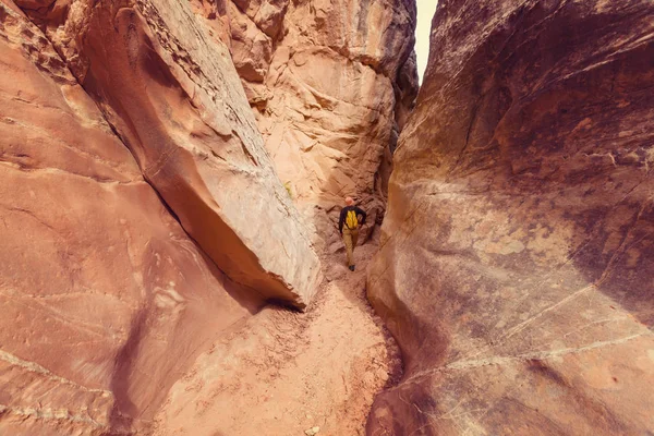 Slot Canyon Grand Staircase Escalante National Park Utah Usa Ovanliga — Stockfoto