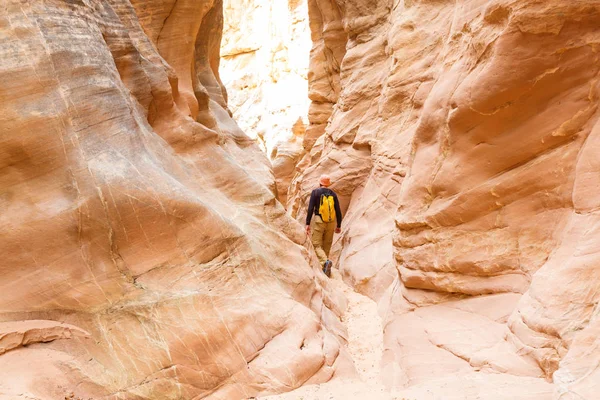 Ranura Cañón Grand Staircase Escalante National Park Utah Formaciones Inusuales —  Fotos de Stock