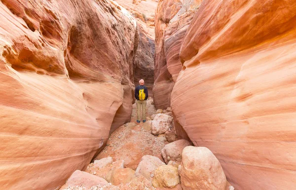 Kanion Szczelinowy Parku Narodowym Grand Staircase Escalante Utah Usa Niezwykłe — Zdjęcie stockowe