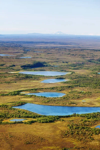 Paesaggi Estivi Insoliti Dell Alaska Stati Uniti — Foto Stock