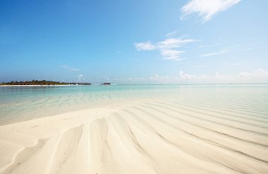 Güzel Maldivler plajı. Doğal güzel bir arka plan..