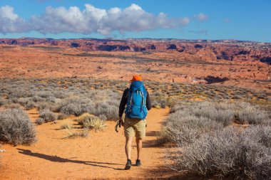 Utah dağlarında yürüyüş. Alışılmadık doğal manzaralarda yürüyüş. Fantastik kumtaşı oluşumları.