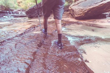 Zion National Park içinde yürüyüş, Zion hiking adam Vrgin Nehri ile yaz sezonunda, Zion National park, Utah dar.