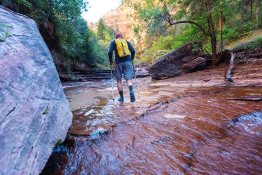 Zion National Park içinde yürüyüş, Zion hiking adam Vrgin Nehri ile yaz sezonunda, Zion National park, Utah dar.