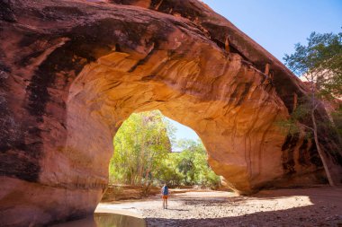 Jacob Hamblin Arch in Coyote Gulch, Grand Staircase-Escalante National Monument, Utah, United States clipart