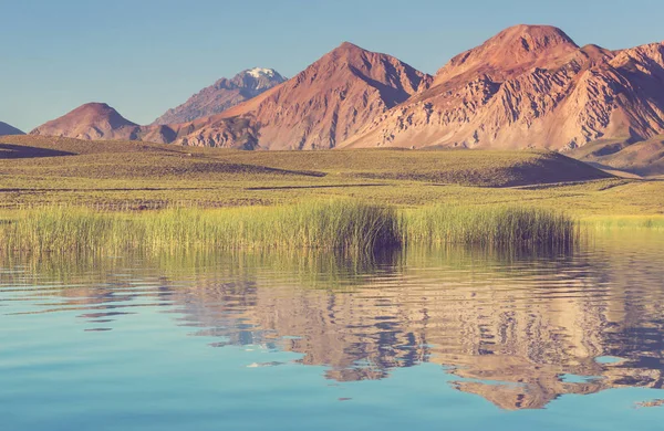 Paysage Montagneux Insolite Dans Les Andes Agrentina — Photo