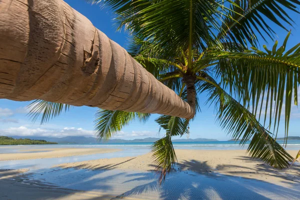 Geweldige Schilderachtig Uitzicht Zee Baai Bergachtige Eilanden Palawan Filipijnen — Stockfoto