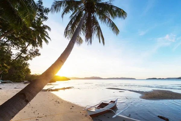 海湾と山の島 パラワン フィリピンの驚くほどの風光明媚なビュー — ストック写真