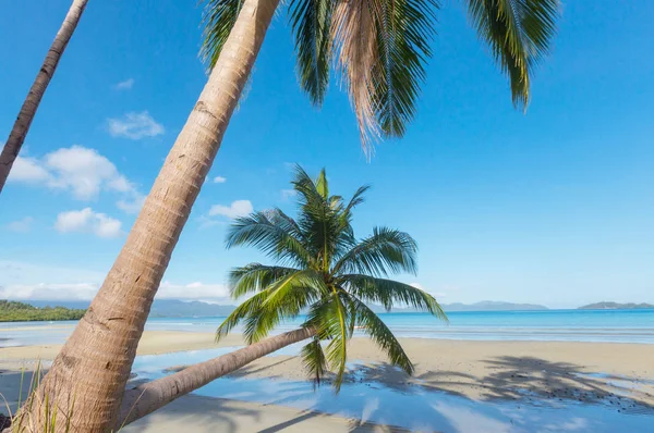 Sereniteit Het Tropische Strand — Stockfoto