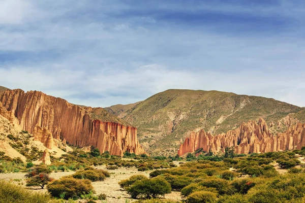 Bolivianische Schlucht Der Nähe Von Tupiza Bolivien Ungewöhnliche Felsformationen Schöne — Stockfoto