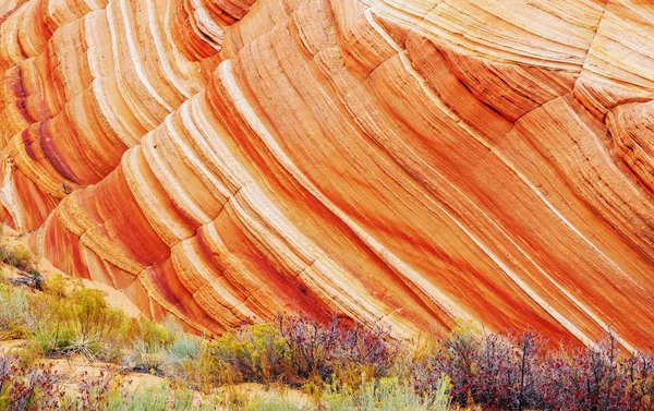 Sandstone Formations Utah Usa Beautiful Unusual Landscapes Living Coral Color — Stock Photo, Image