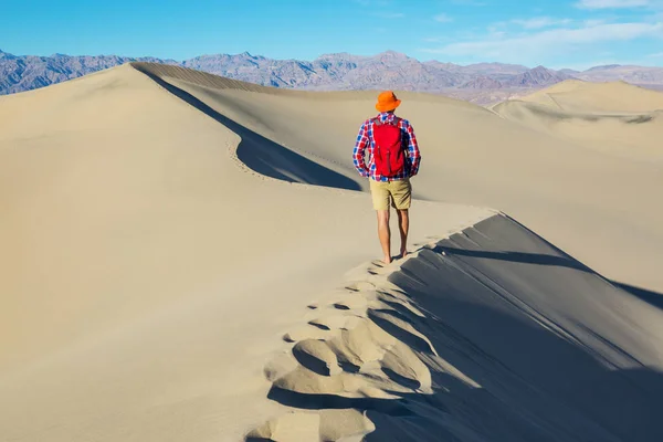 Caminante Desierto Arena Hora Del Amanecer —  Fotos de Stock