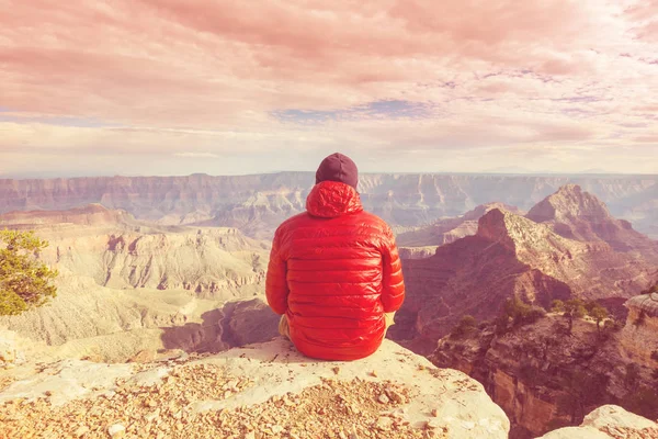 Ταξιδιώτης Απόκρημνα Βουνά Πάνω Από Grand Canyon National Park Αριζόνα — Φωτογραφία Αρχείου