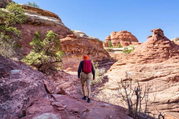 Hike Utah Mountains Hiking Unusual Natural Landscapes Fantastic Forms Sandstone — Stock Photo, Image