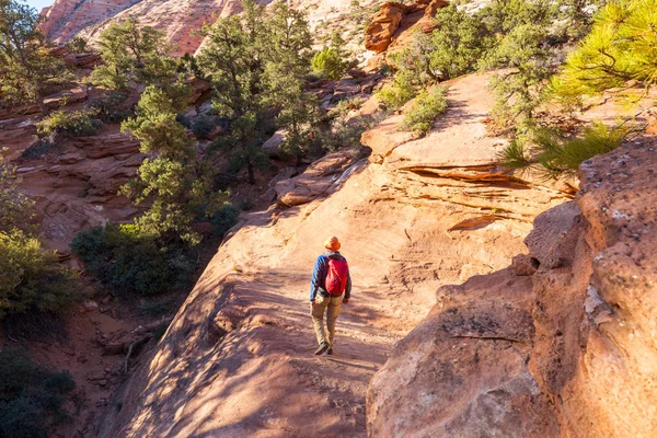 Utah dağlarında yürüyüş. Alışılmadık doğal manzaralarda yürüyüş. Fantastik kumtaşı oluşumları.