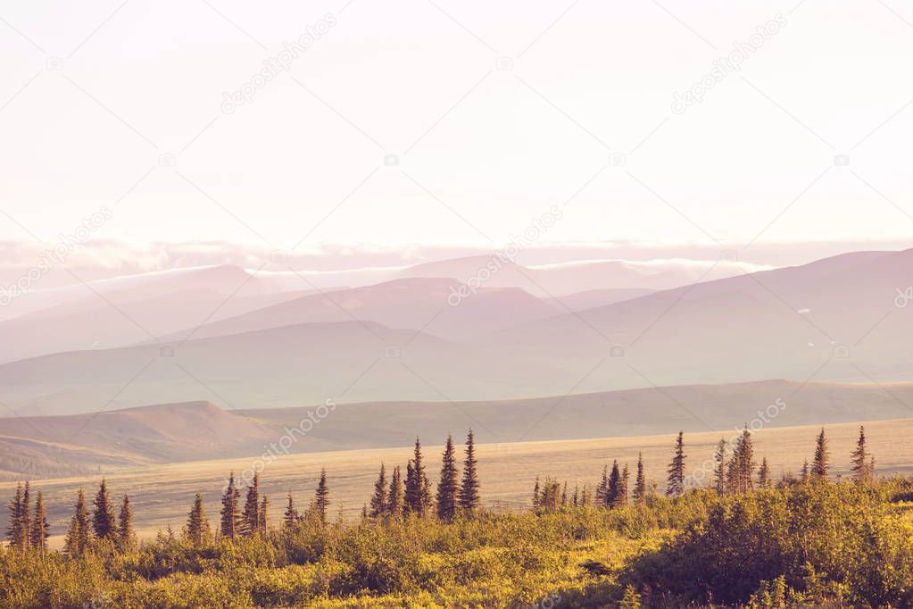 Tundra landscapes above Arctic circle in Canada. Beautiful inspiring natural background.