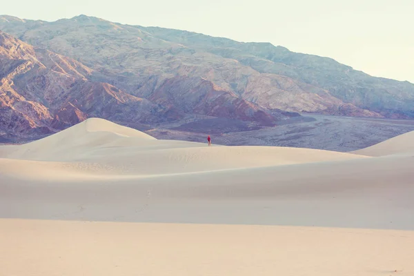 Dunas Arena Parque Nacional Death Valley California Coral Vivo Tonificado — Foto de Stock