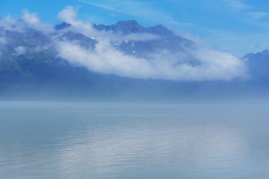 Amerika Birleşik Devletleri, Alaska 'nın alışılmadık yaz manzaraları.