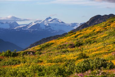 Alaska 'daki dağlar, Amerika Birleşik Devletleri