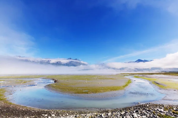 Ongebruikelijke Zomer Landschappen Van Alaska Verenigde Staten — Stockfoto