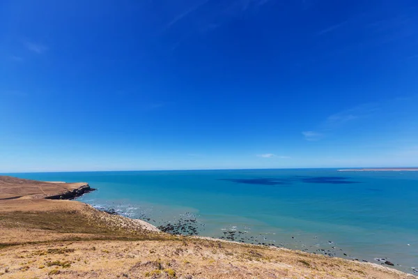 Patagonian Atlantic Coast Argentina — Stock Photo, Image