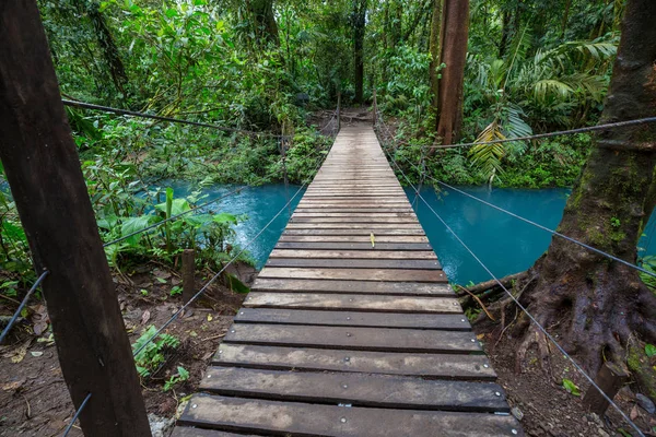 Floresta Tropical Nebulosa Costa Rica América Central — Fotografia de Stock
