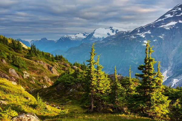 Montanhas Pitorescas Alasca Verão Massas Cobertas Neve Geleiras Picos Rochosos — Fotografia de Stock