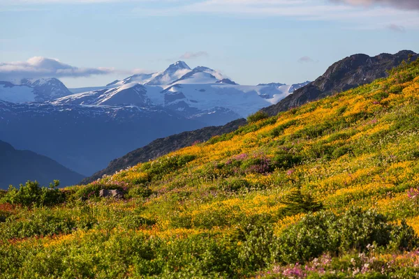 Montanhas Alaska Estados Unidos — Fotografia de Stock