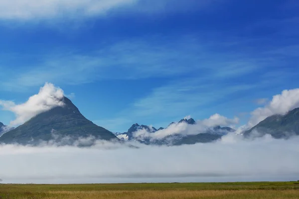 Ovanlig Sommar Landskap Alaska Usa — Stockfoto