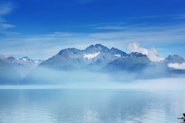 Neobvyklé Letní Krajiny Aljašce Spojené Státy — Stock fotografie