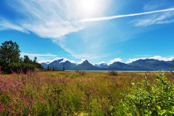 アラスカの異常な夏の風景 アメリカ合衆国 — ストック写真