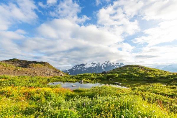 Prairie Montagne Par Temps Ensoleillé Paysage Naturel Été Montagnes Alaska — Photo