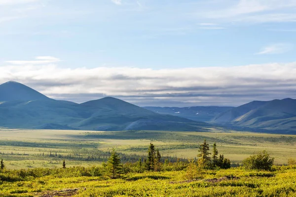 Paesaggi Della Tundra Sopra Cerchio Artico — Foto Stock