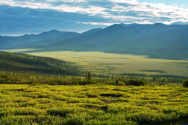 Kutup Dairesinin Üstündeki Tundra Manzaraları — Stok fotoğraf